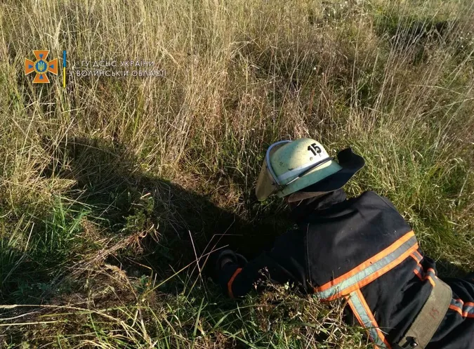 На Волині рятувальники витягнули з глибокої ями собаку (фото)