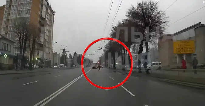 «Безсмертні»: у Луцьку ловлять пішоходів-порушників (відео)