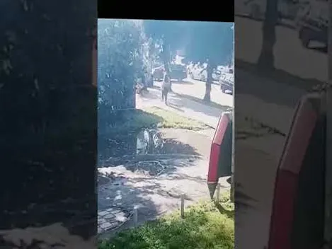 «Туарегом», який зламав дерево на Ковельській, керував луцький посадовець, – ЗМІ