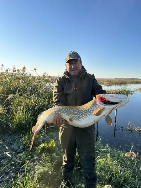 Ректор луцького вишу упіймав гігантську щуку (фото)