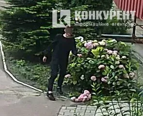 Матюкався і погрожував: агресивний підліток обчистив клумби біля луцького будинку (фото, відео)