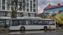 Заробляють більше за перевізників: скільки City Card отримує від луцького транспорту