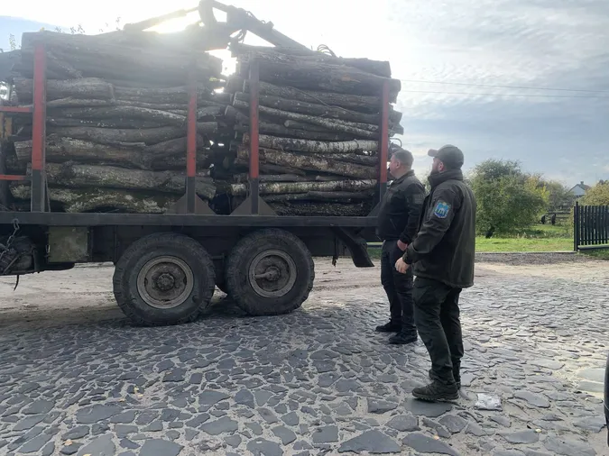 Фури з колодами і пеньки від ялин: на Волині шукали дроворубів-нелегалів (фото)