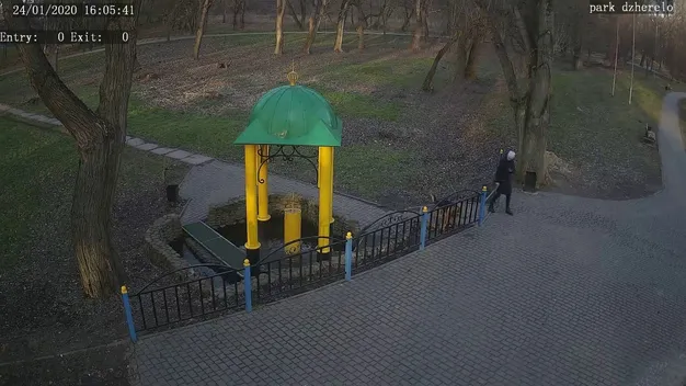 Пів міста бере воду: у Володимирі біля джерела знайшли купу лайна (відео)
