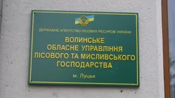 У Волинському лісництві немає даних про збитки на 14 мільйонів