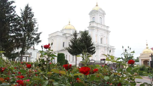 Собор, вулиці, зоопарк: показали, як квітне Луцьк (фото)
