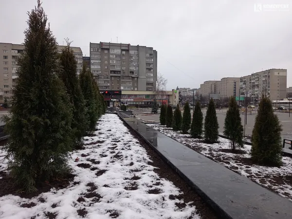 Камінь та концентрація лавок: що коїться на площі перед РАЦСом у Луцьку (фото)