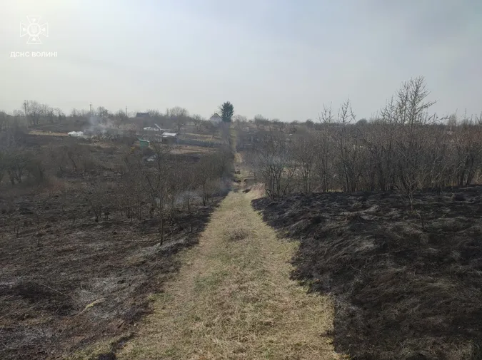 Під Луцьком спіймали палійку: жінка спалила 3 гектари сухостою (фото)