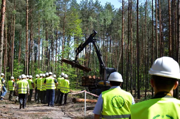 Волинська Швейцарія та селфі: лісівники провели майстер-клас із безпеки (фото)