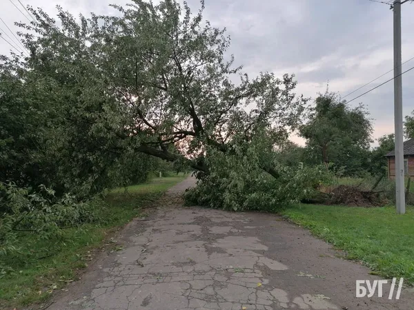 Зірвані покрівлі і повалені дерева: на Волині вирувала негода (фото)