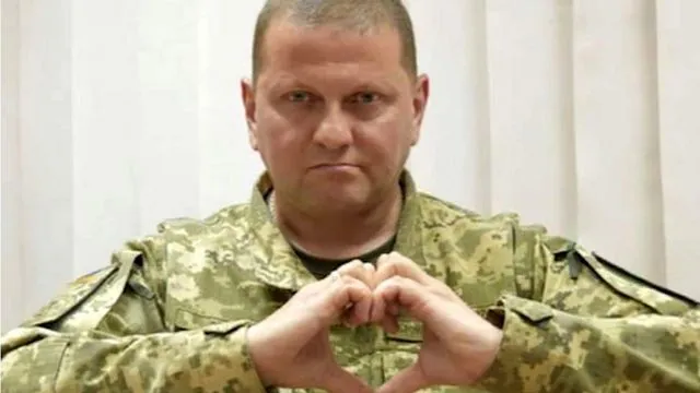 Залужний отримав в спадок мільйон доларів та віддав їх на ЗСУ