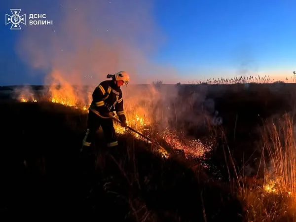Суха трава, чагарники та очерет: на Волині вигоріли понад 2,5 га угідь (фото)