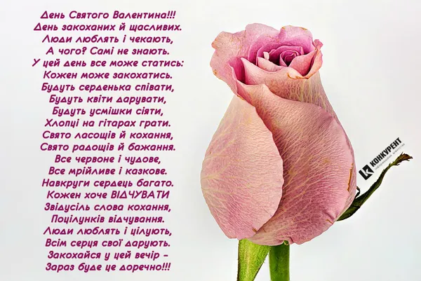 Привітання з Днем Святого Валентина: листівки від ІА «Конкурент» (фото)