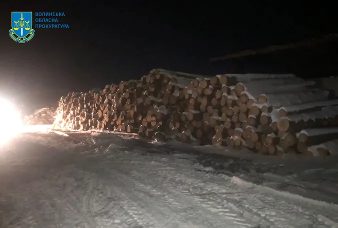 На Волині арештовану деревину продали за понад мільйон гривень (фото)