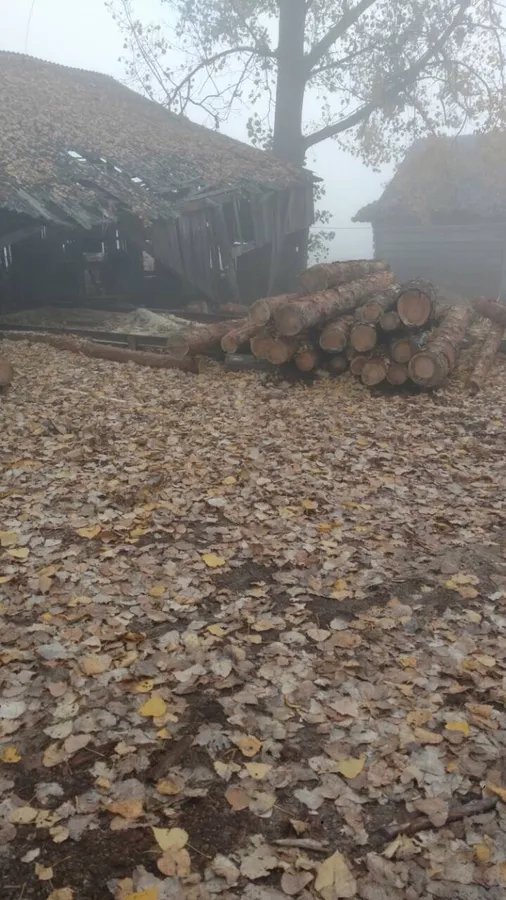 На Волині вилучили десять кубометрів незаконної лісопродукції (фото)