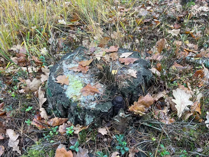 Під Луцьком грибники знайшли смертельну знахідку