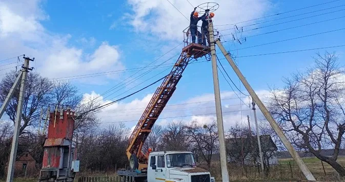 На Волині облаштовують штучні лелечі гнізда на електроопорах (фото, відео)
