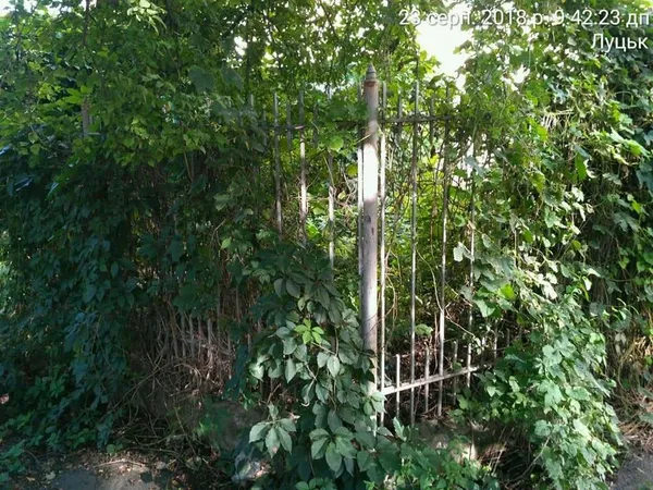 Луцькі вулиці очистили від парканів і обмежувачів (фото)