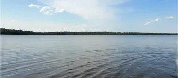 На Поліссі причаїлось озеро з безлюдними пляжами та неймовірними містичними лісами поруч (відео)