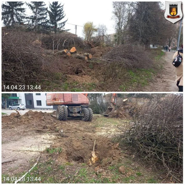 У Луцьку на Гордіюк незаконно зрізали дерева, за винуватців взялись муніципали