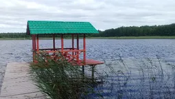 У лісах Полісся сховалося одне з найзатишніших озер Волині із дикою природою та скарбом на дні (фото)