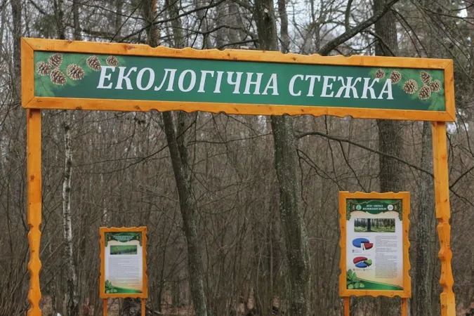 У Звірівському лісництві з'явилась екологічна стежка, на якій можна зустріти диких тварин (фото)