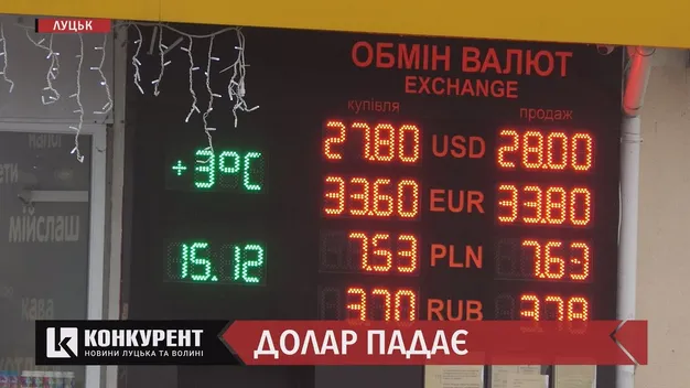 Що буде з доларом перед Новим роком: пояснення економічної експертки з Луцька (відео)