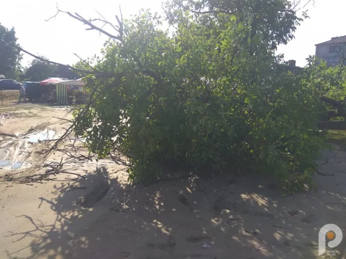 На Волині буревій наробив лиха (фото, відео)