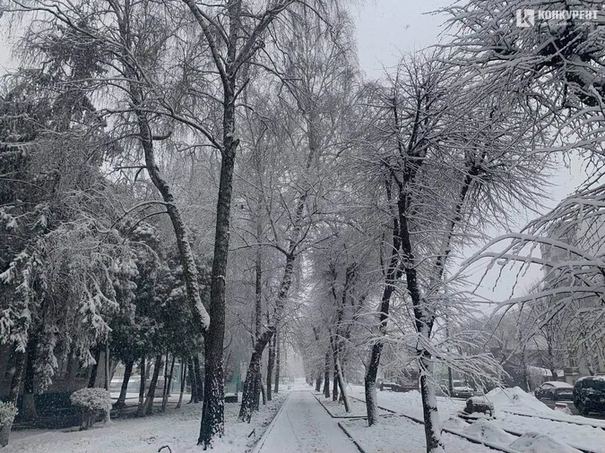 Весна у Луцьку: квітень порадував «лютою» погодою (фото)
