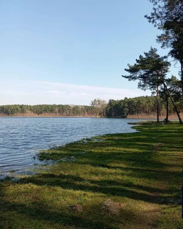 Іще повноводне Лісне