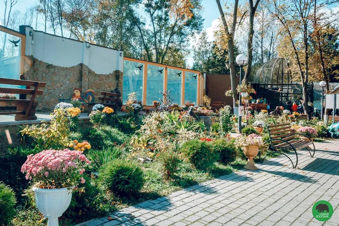 Пенсіонери зможуть безплатно відвідати Луцький зоопарк