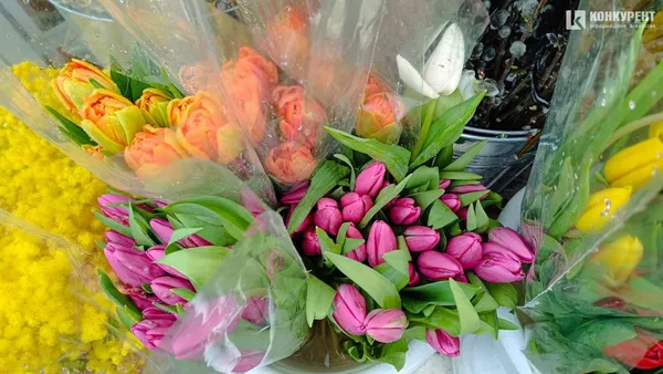 Квітковий бум: скільки коштують тюльпани в Луцьку