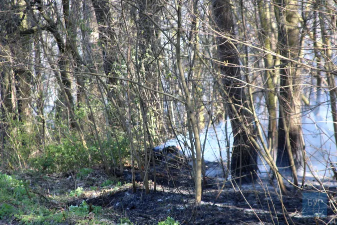 Біля Володимира загорівся ліс: ймовірно, через підпали сухої трави (відео)