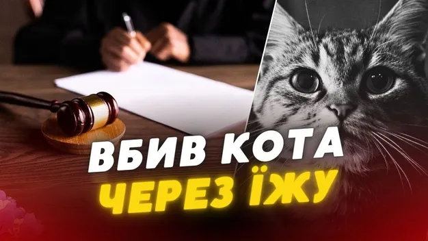 Гамселив ногами та знімав на відео: на Волині судили живодера, який жорстоко вбив кота