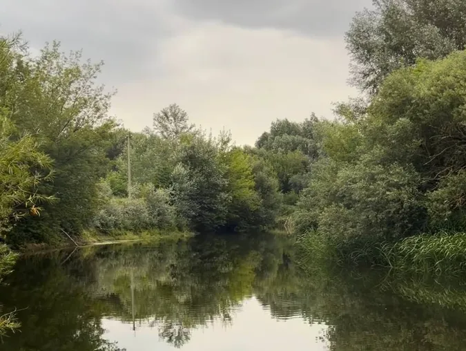 Водяться соми, коропи, лящі і не тільки: розсекретили гарне місце на Стиру біля Луцька, де багато риби