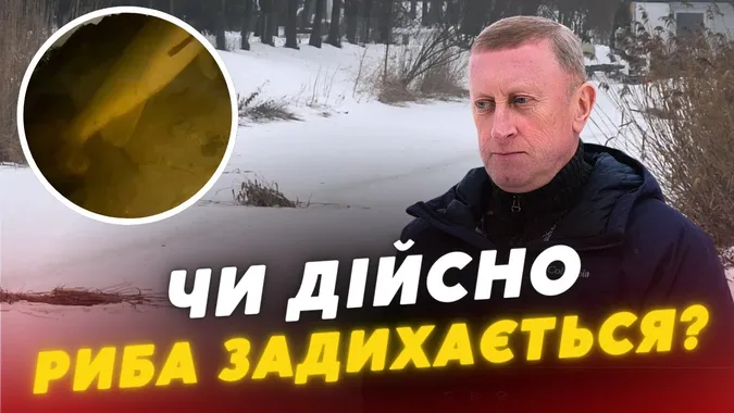 Чи можливий мор риби у луцькому парку: що виявив рибоохоронний патруль (відео)