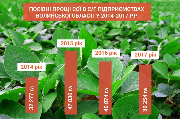 Від Африки до Азії: куди експортують волинську сою