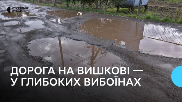 Без ремонту понад десять років: у Луцьку в одному з районів мешканці скаржаться на глибокі ями на дорозі (фото, відео)