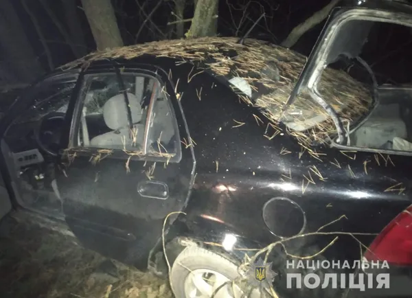 Двоє загиблих: за день на Волині сталися дві смертельні ДТП (фото)