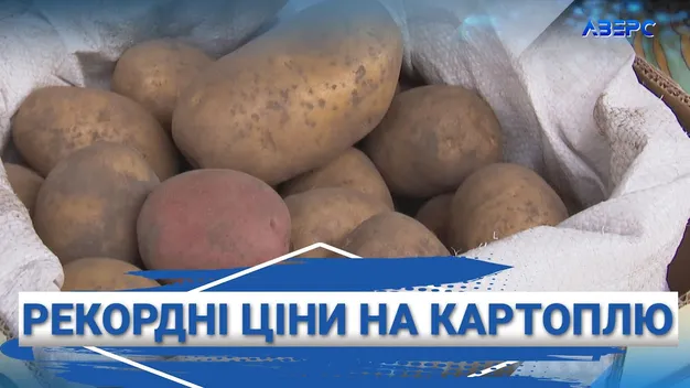 Ціни на картоплю на луцьких ринках б’ють рекорди (відео)