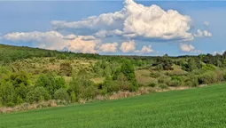 Видно Луцьк і золоті куполи Почаєва: біля Волині знайшли гору з мальовничою панорамою (фото)
