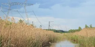 На історичній Волині причаїлося Чортове болото, що ховало повстанців УПА