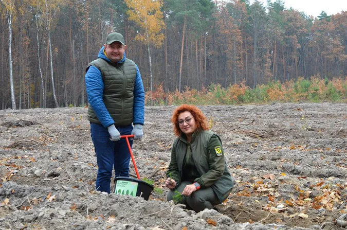 На Волині висадили тисячі дубів та сосен (фото)