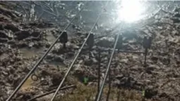 Мали зайві вудки: у Луцьку на Стиру зловили рибалок, які натягали забагато линів (фото)