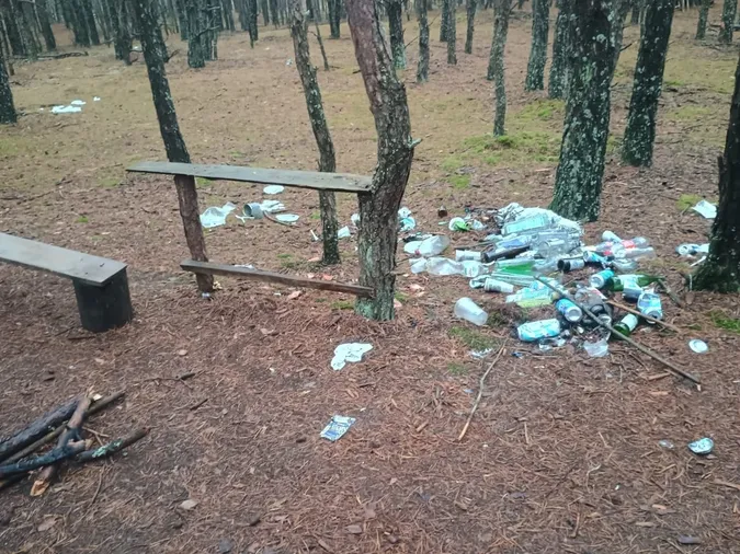 У лісі на Волині виявили гори сміття (фото)