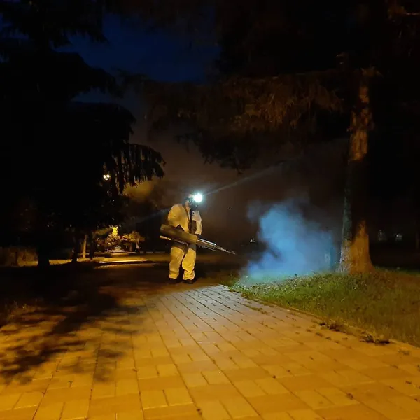 Як вночі в луцькому парку знищували кліщів та комарів (фото)