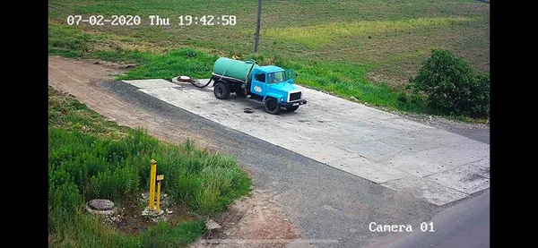 Знайшли нове джерело смороду – поля зі зливами Рожищенського сирзаводу (фото)