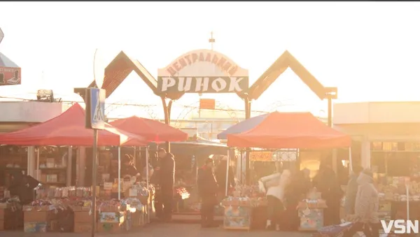 Які ціни на живі ялинки та сосни у Луцьку (фото)
