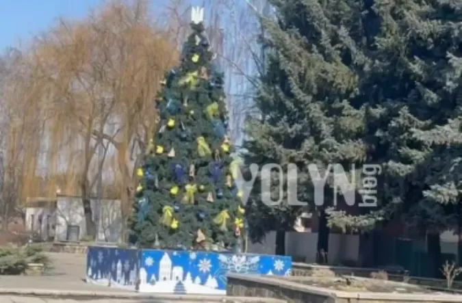 У Ківерцях новорічна ялинка «дочекалася» весни (відео)