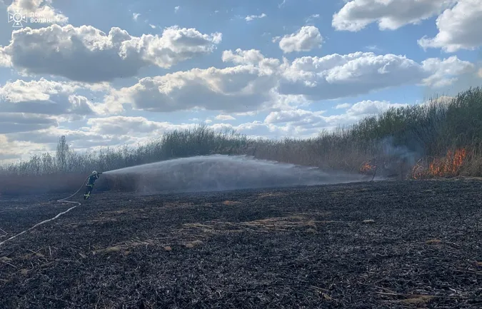 Великдень у вогні: на Волині займання виникали одне за одним (фото)